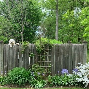 Meet your Posher, Joan